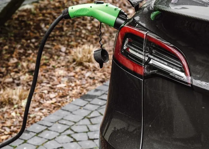 Lion's Castle فندق