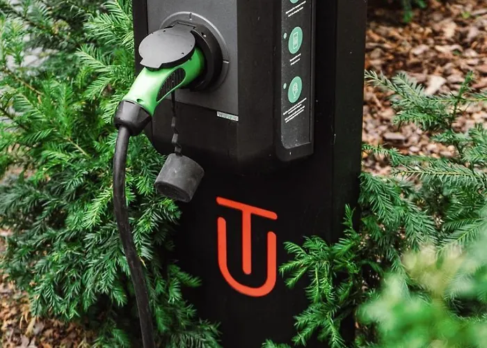 Lion's Castle فندق