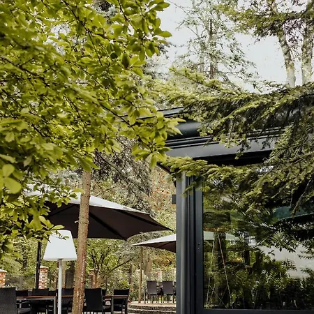 Hotel Lion's Castle Lvov
