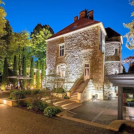Hotel Lion's Castle